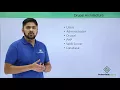 Drupal Architecture