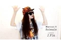 Download Lagu Maroon 5 - Animals ( cover by J.Fla )
