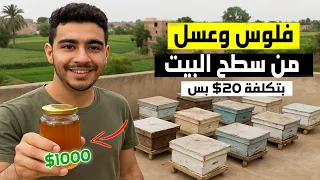 أزاى حولت سطح بيتي لمنحل عسل بـ20 فقط أرباح غير متوقعة 