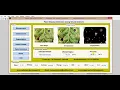 Plant Disease Detection using neural network Matlab Project Source Code FINAL YEAR PROJECT