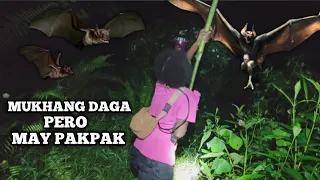 MGA NAKAKATAKOT NA NILALANG SA GABI, GINIGAWANG PAGKAIN NG MGA KATUTUBO