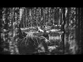Download Lagu BÁL / Ymberophilia - Elmúlás (Full Split)