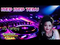 Download Lagu ISEP ISEP TEBU - ELLA NURHAYATI // DJ TARLING REMIX
