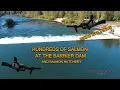 Salmon Hatchery massive fish-HOW IT WORKS-Cowlitz River Fishing-All about Barrier Hatchery