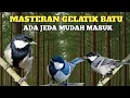 Download Lagu 🟢AUDIO SUPER JERNIH MASTERAN BURUNG GELATIK BATU||ADA JEDA MUDAH MASUK