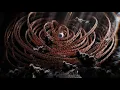 Ophan anomaly