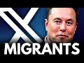 Elon Musk posted over 50 times on X today