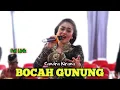 Download Lagu Bocah Gunung || Candra Kirana || Cs Rolanda || Full Lirik