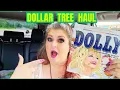 DOLLAR TREE HAUL So Many New FINDS August 18 2026