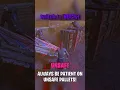 How To Loop UNSAFE Pallets Like A Pro Survivor