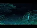 Download Lagu REAL PEMBUKTIAN HANTU !! MENCARI POCONG GENTAYANGAN HUTAN LARANGAN