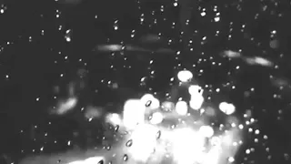 عزف خذني بحضنك 