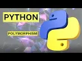 - Understanding Polymorphism in Python