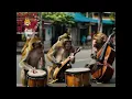 Download Lagu monyet si pengamen jalanan #monkey #funnyanimals #monyet #ai #cuteanimals #viralvideo #fyp #pengamen