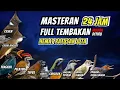Download Lagu Masteran Full Tembakan Untuk Burung Fighter Mudah Ditiru