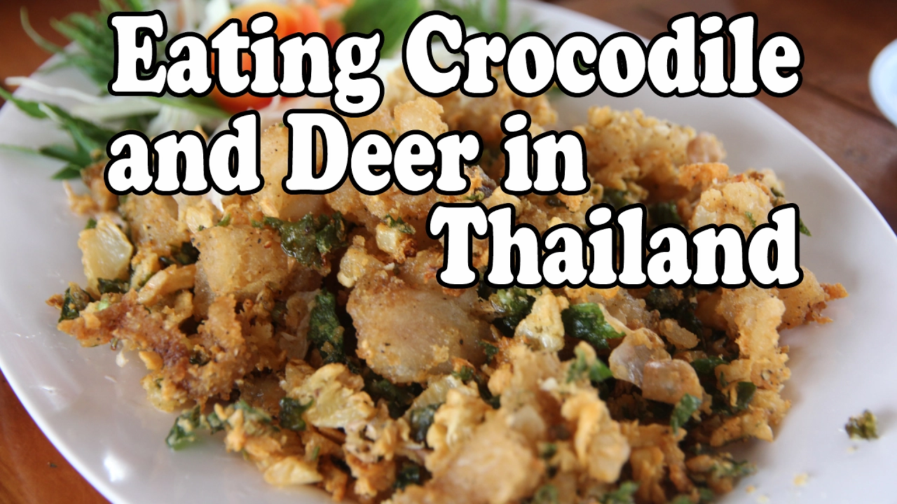 Eating Thai Food: Crocodile and Deer in Thailand. Thai Style Jungle Food.