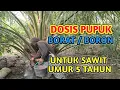 Lagu Dosis pupuk Borat/Boron untuk Kelapa Sawit