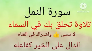 سورة النمل صوت يحلق بك في السماء 