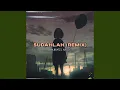 Download Lagu Sudahlah (Remix)
