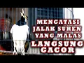 Download Lagu JALAK SUREN AGAR GACOR STABIL BONGKAR ISIAN PUTARKAN INI #jalaksurengacor