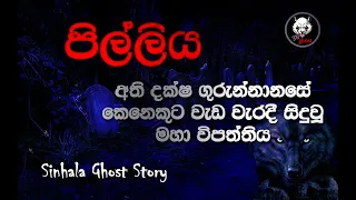 Download Holman Katha 👽පිල්ලිය (සත්‍ය කතාවක්) Sinhala Ghost Story Episode 32 - 3N Ghost MP3