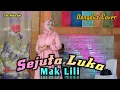 Download Lagu SEJUTA LUKA - Mak Lili / Dangdut Cover @THEMataAir
