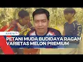 Download Lagu Keren! Petani Muda di Madiun Tanam 7 Jenis Melon Impor \u0026 Buka Wisata Petik Sendiri
