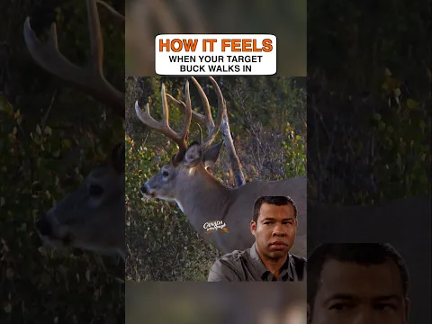 🤣How Do You Feel When This Moment Arrives? #deerhunting #hunting #question #shorts