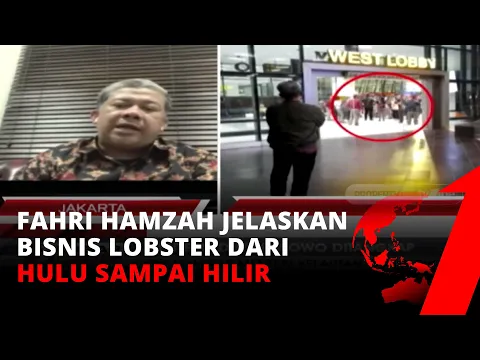Soal Kebijakan Ekspor Benih Lobster, Fahri Hamzah: Beri Kebebasan Penjual, Jangan Diatur Atur-atur
