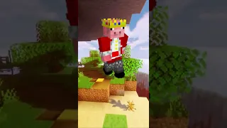 اشهر سكنات ماين كرافت Shorts Minecraft ماين كرافت 