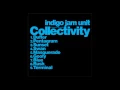 Indigo Jam Unit - Terminal