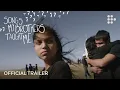 Video di Chloé Zhao's SONGS MY BROTHERS TAUGHT ME | Official Trailer | MUBI