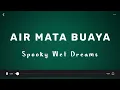 Download Lagu Air Mata Buaya by Spooky Wet Dreams ‧ Lirik