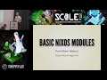 Basic NixOS Modules