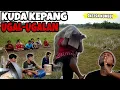 SKETSA KOMEDI - KUDA KEPANG BIKIN NGAKAK