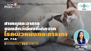 การเกาของสัตว์เลี้ยงเกิดจากอะไรบ้าง