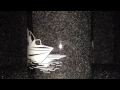 Coleman Sportsman Lantern Globe