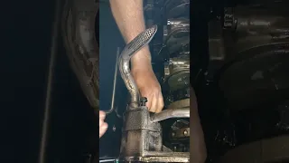                                                  دندنها