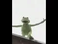 Kermit commits suicide gracefully