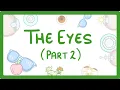 Download Lagu GCSE Biology - How the Eye Works (Part 2) - Accommodation
