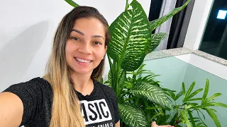 Bom dia! Contagem MG