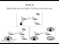 MACA PAMAS