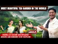 Download Lagu DHARTI RENAH JOTO KHON CHOROK  CHA BAGAN NEL HUIANA||BEAUTIFUL TEA GARDEN KERALA #labahansdah 