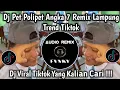 Download Lagu DJ PET POLIPET PIPET ANGKA 7 SUKA BANYAK PENGGUNA, PENGGUNA SABU - SABU REMIX LAMPUNG VIRAL TIKTOK