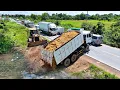 Download Lagu Bulldozer Mighty, Processing Filling up land huge, Skills​ Driver​ Dozer SHANTUI, Dump truck
