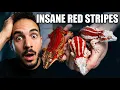 Our Red Gargoyle Gecko Breeding Line-up Revealed