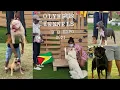 Download Lagu GUYANA'S BIGGEST DOG EXPO!