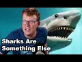 Download Lagu Sharks Aren't Fish, but Whales Are