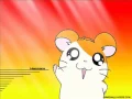 Download Lagu Hamtaro Opening Song   Indonesia Ver