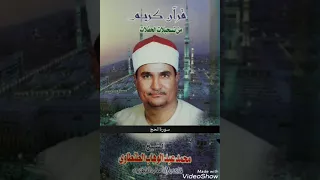 الشيخ محمد عبد الوهاب الطنطاوي سورة الحج 